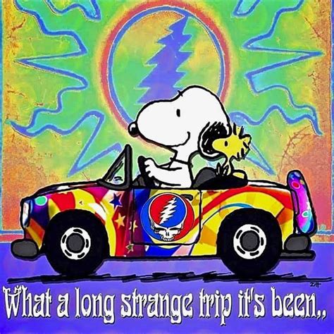 What A Long Strange Trip Its Been Grateful Dead Grateful Dead