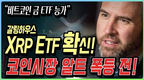 리플 Ceo 갈링하우스 Xrp의 Etf 확신한다 Youtube