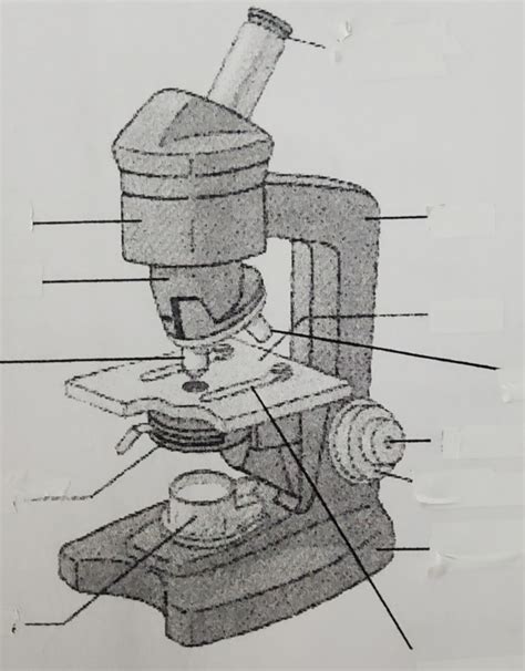 Parts Of A Compound Microscope Diagram Quizlet