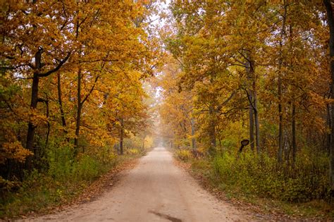 Jalur Pohon Musim Gugur Foto Gratis Di Pixabay Pixabay