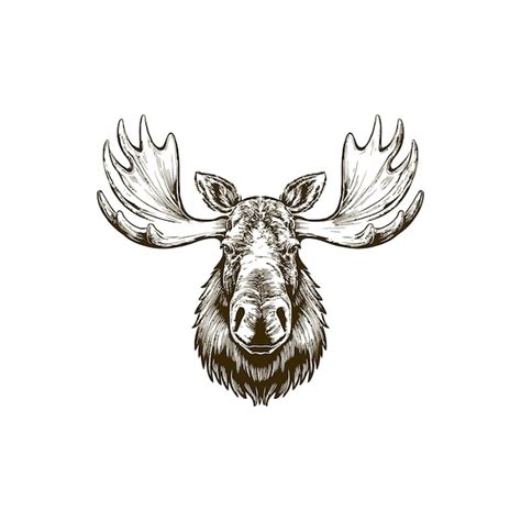 Vintage Engraving Woodcut Illustration Of Moose Premium Ai Generated