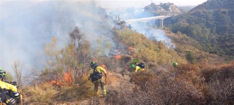 El Infoca Lucha Contra Un Incendio Forestal Declarado En Marbella