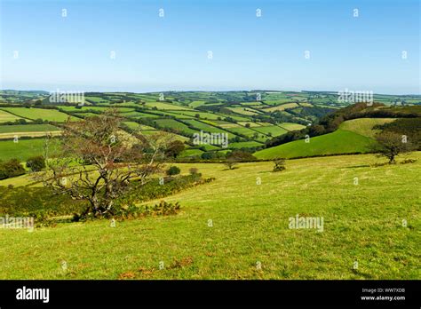 Hills Combes And Fields Near Winsford Exmoor Somerset England Stock