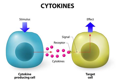 Cytokinine Cosmacon