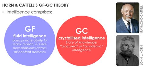 Measurement Intelligence Flashcards