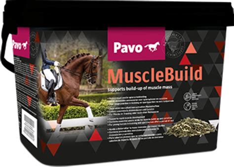 Pavo MuscleBuild 3 Kg EquusVitalis Onlineshop Nederland