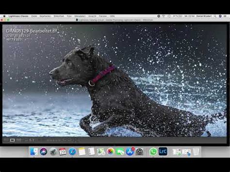 Hund Mit Spritzern Freistellen Photoshop YouTube