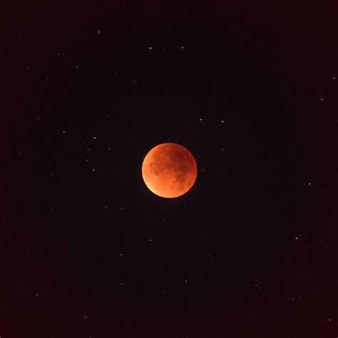 🔥 [80+] Blood Moon Wallpapers | WallpaperSafari