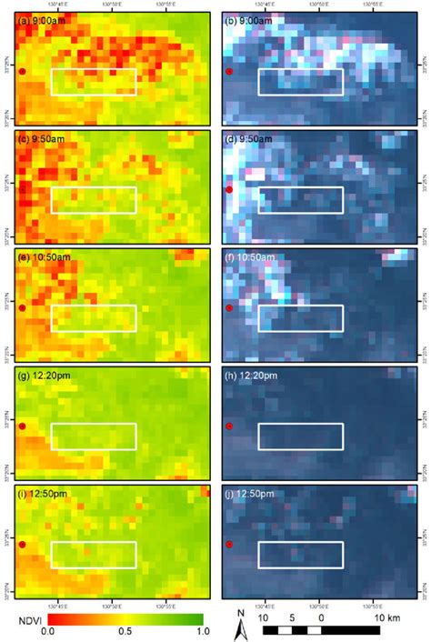 Ahi Ndvi And Natural Color Composite Image Pairs At Select Observation