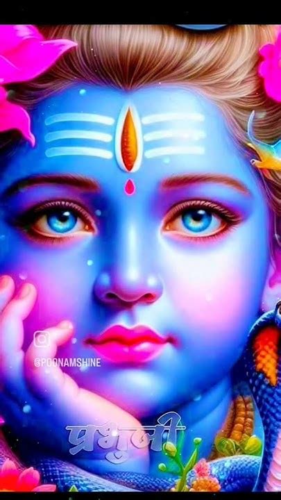 मेरे जीवन की बाबा इतनी सी जरूरत है हर हर महादेव जय शिव शंभू 🌿🌿🕉️🕉️🙏🙏