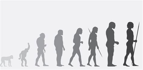 It’s time we stopped human evolution – geneticist