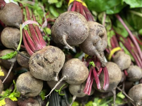 LIBIDO-BOOSTING FOODS - judiljonesshow.com