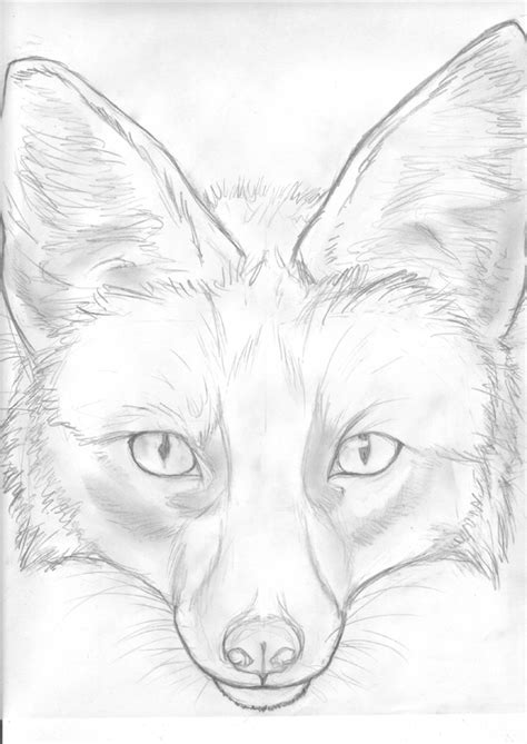 How To Draw A Realistic Fox Face