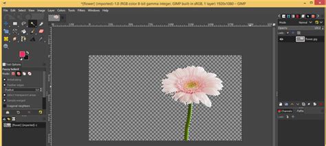 Learn How To Use The Gimp Background Eraser Tool Efficiently