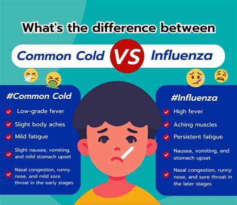 Cold Vs Flu Differentiate Between Symptoms Causes Diagnosis And