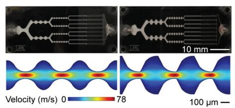 Application Of Microfluidics To The Dissociation And Fragmentation Of