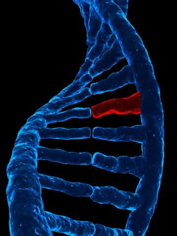 Von der Gen zur Chromosomenveränderung 2021 Wiley Analytical Science