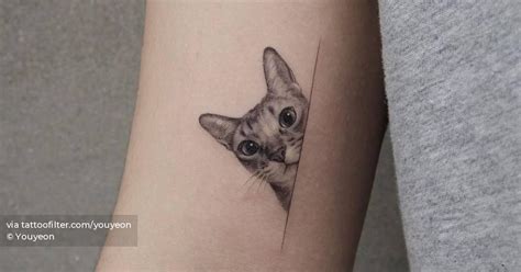 Micro Realistic Cat Tattoo On Bicep