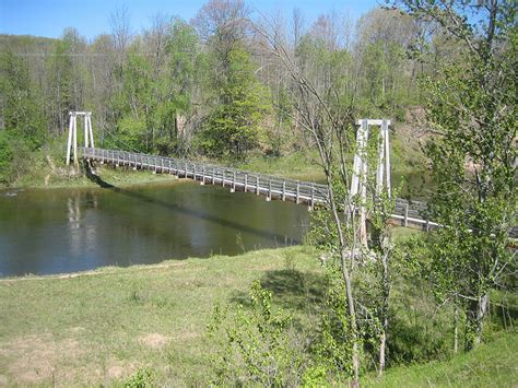 DNR Highlights Trout Fishing Opportunities at Michigan State Forest ...