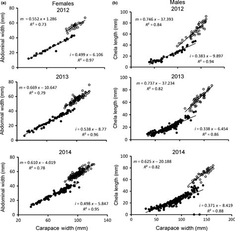 A Morphometric Relationships Between A Abdominal Width Mm For