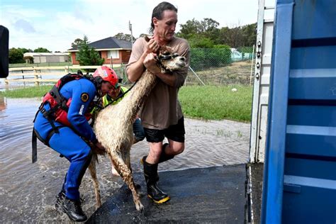 Australia floods: Sydney orders thousands to evacuate | CNN