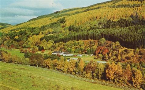 Forest Of Ae Scottish Workers House Dumfries Aerial S Postcard