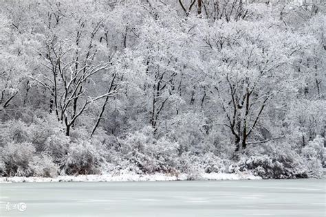 手繪圖集：深冬的美總是像雪花一樣潔白而又無法擁抱！ 每日頭條