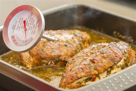 Tomar La Temperatura De Dos Pechugas De Pollo Sazonadas Foto De Archivo