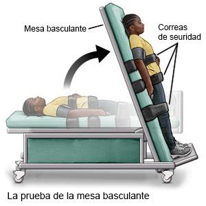 S Ncope Care Guide Information En Espanol