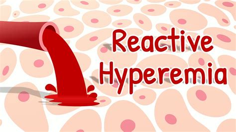 Reactive Hyperemia & a Bonus Point | Mechanisms of Local Control of ...