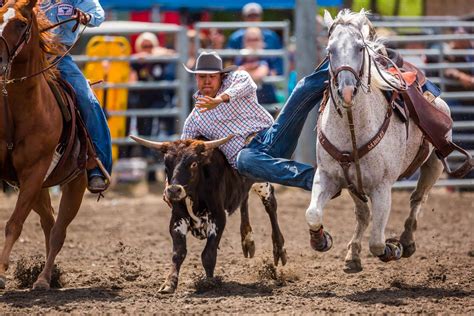 steer wrestling | Christopher Martin Photography