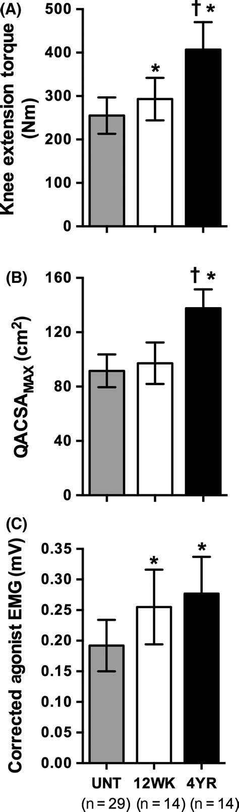 A Knee Extension Maximum Voluntary Torque B Quadriceps Maximum