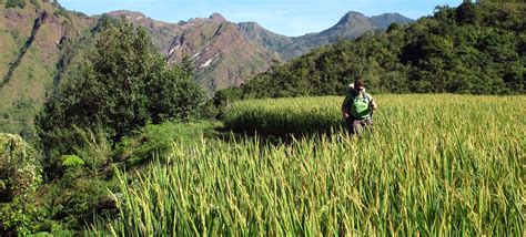 Uncharted Philippines | Kibungan Mountain Range Trek