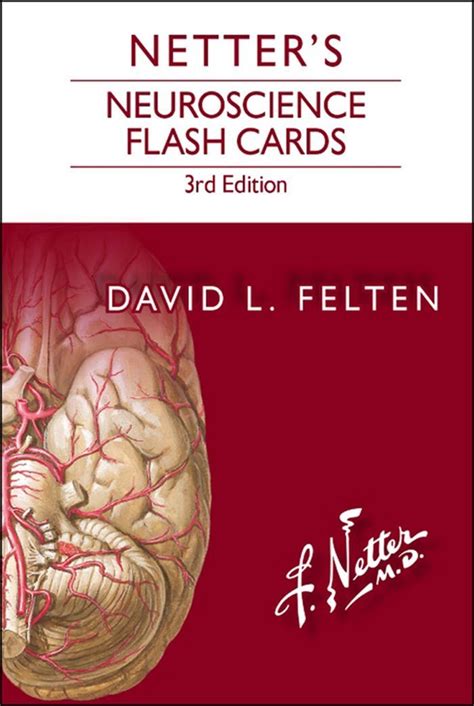 Mua Netter S Neuroscience Flash Cards Tr N Amazon Nh T Ch Nh H Ng