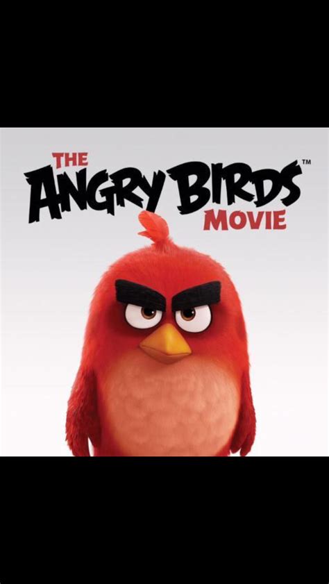 The Angry Birds Movie Movie Review Andrew Vessels Movie Reviews