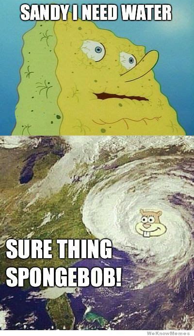 Hurricane Sandy Funny Spongebob Memes Funny Memes Spongebob Spongebob