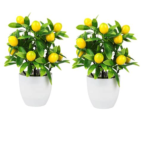 Buy Takefuns Mini Lemon Potted s, 2Pcs Artificial Lemon s in Pots, Fake ...