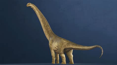 Argentinosaurus | CGTrader