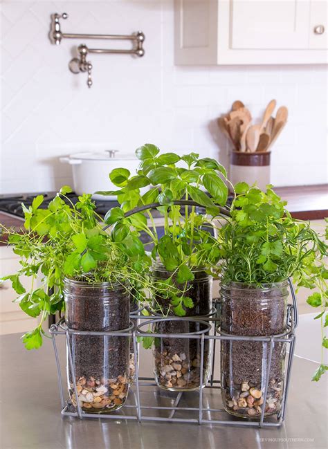 Countertop Herb Garden Ideas To Try This Year Sharonsable