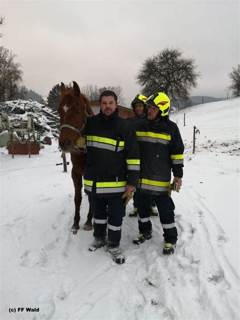 Tierrettung In Perschenegg Ff Pyhra