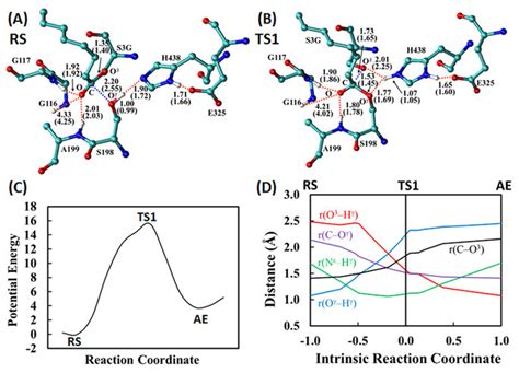 Optimized Geometries Of A The Reactant State Rs And B The