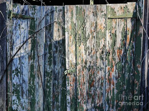 Peeling Paint on Rural Shed Door Photograph by Lexa Harpell - Pixels