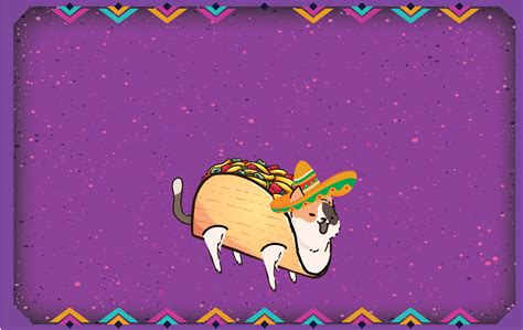 Tacocat — NJ Beer Co.