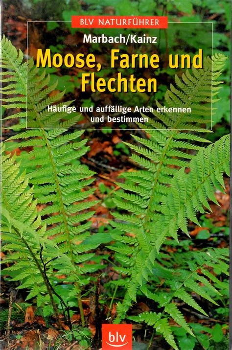 ISBN 3405163234 Moose Farne und Flechten Häufige und auffällige