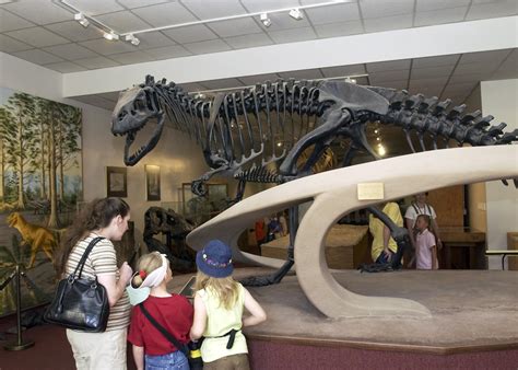 Newly Named Byu Museum Of Paleontology To Host Grand Opening