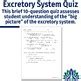 Excretory Urinary System Quiz And Notes By Flying Colors Science