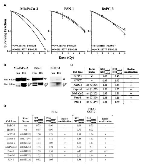 Figure 1 From Pancreatic Cancer Cell Radiation Survival And