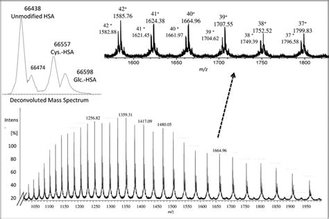 Mass Spectrum Obtained By Esi Q Tof Mass Spectrometry For Collected