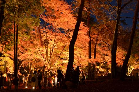 長瀞紅葉まつり2016 長瀞町観光協会公式サイト