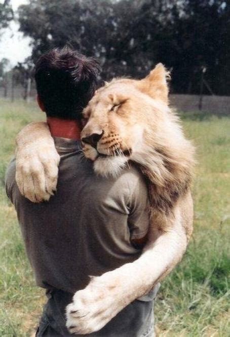 22 Animals That Really Need a Hug Right Now | Pleated Jeans